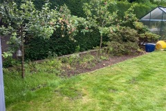 Wallace-tree-care-case-study-3-08