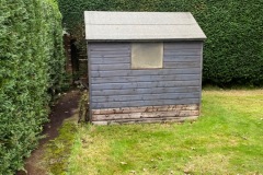 Wallace-tree-care-case-study-3-09