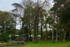 Wallace-tree-care-case-study-4-3