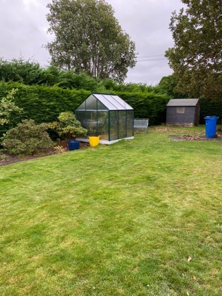 wallace-tree-care-01